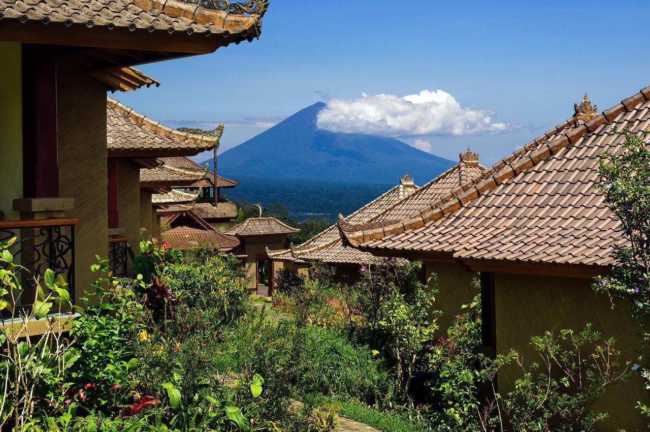 Strawberry Hill & Restaurant हॉलिडे पार्क Bedugul (Bali)