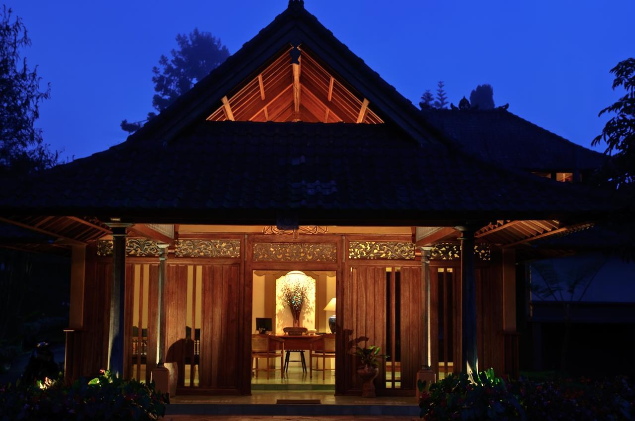 Strawberry Hill & Restaurant Bedugul (Bali)