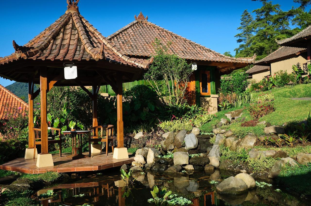 Strawberry Hill Hotel&restaurant Ferienpark